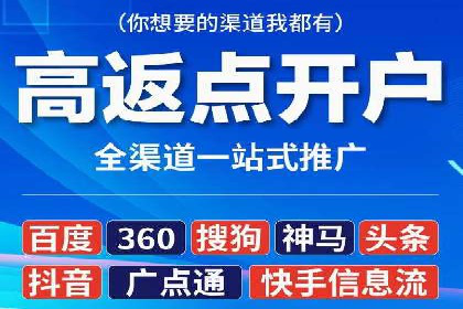 竞价广告的投放策略与效果评估——以一成功企业为例